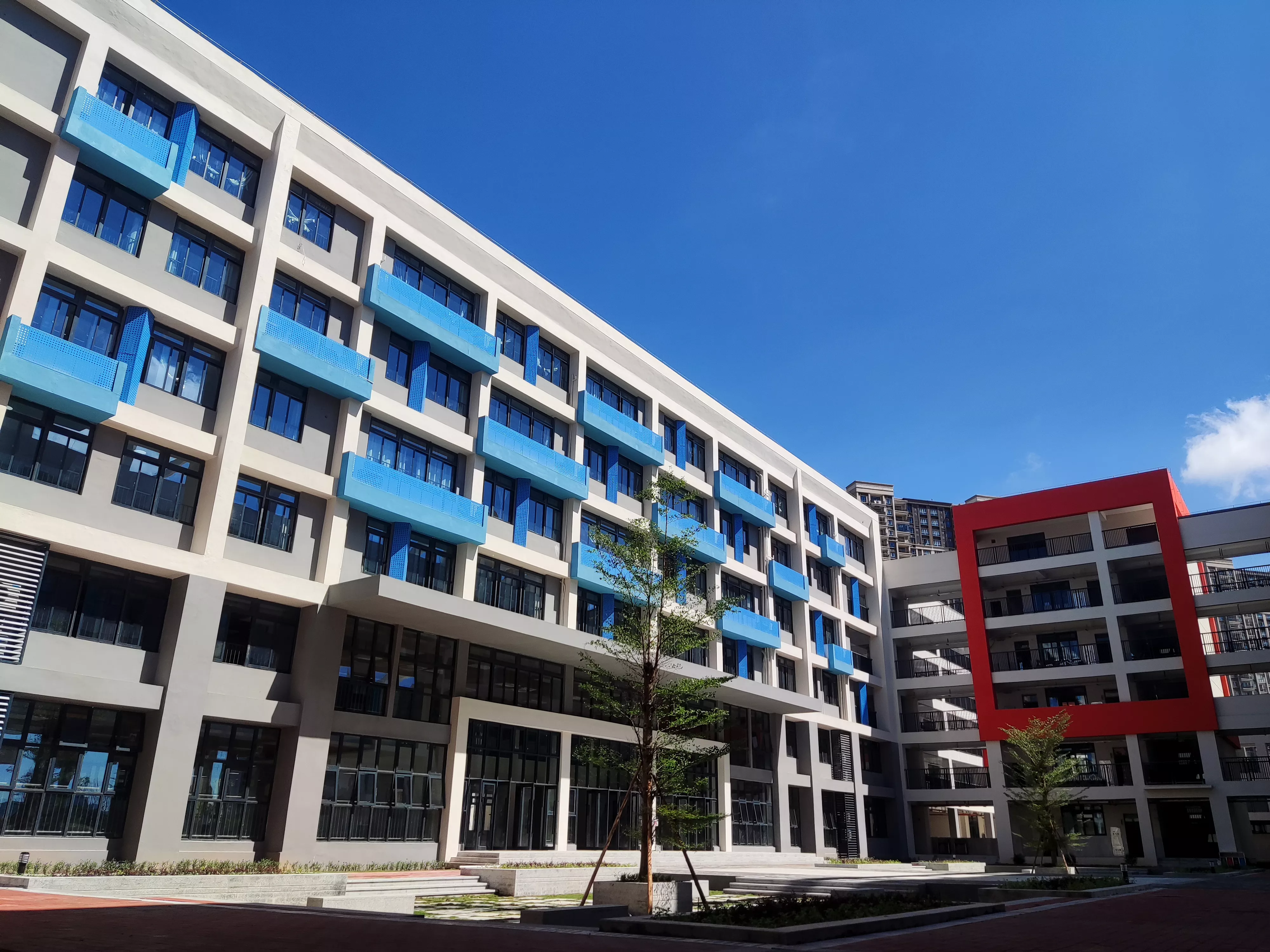 学校